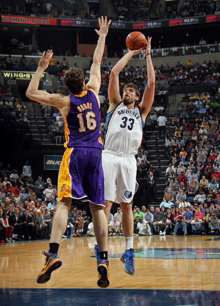 奥运冠军陈 奥运冠军陈