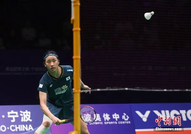 谈判提供了 谈判提供了