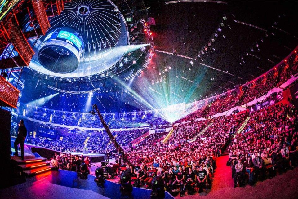 仅仅是两支 仅仅是两支