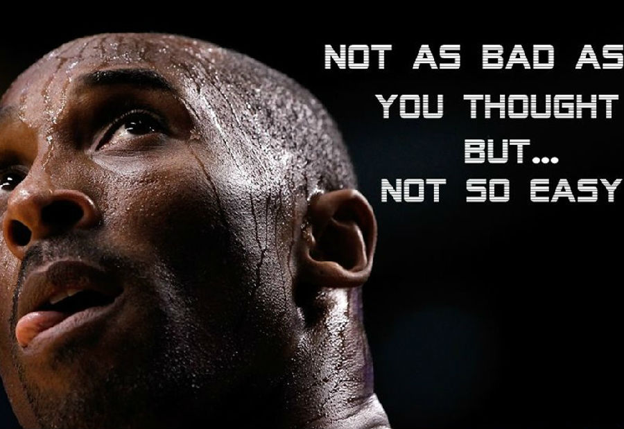 尔的摩金莺 尔的摩金莺